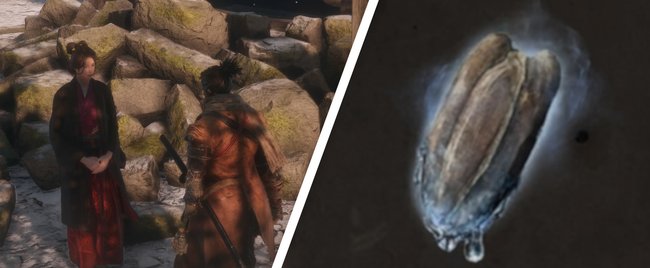 Sekiro: Alle Kürbissamen - Fundorte für mehr Kürbisflaschen