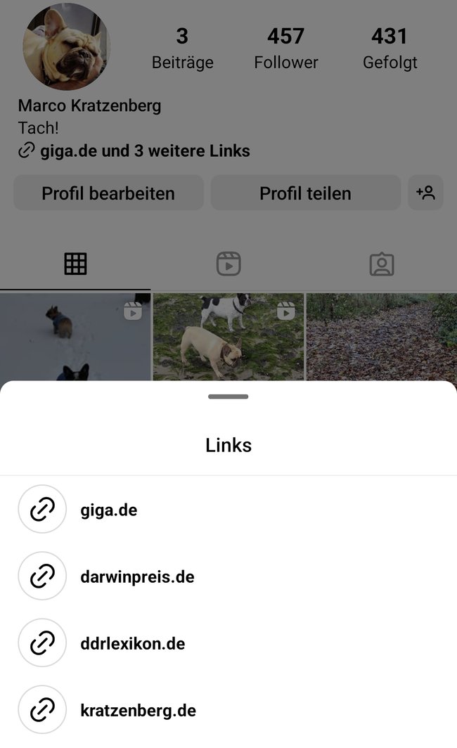 Anzeige mehrerer Links in der Instagram-Bio (App-Screenshot)