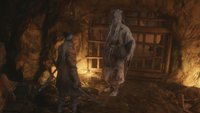 Sekiro: Dojun-Quest – Kompletter Walkthrough mit Video