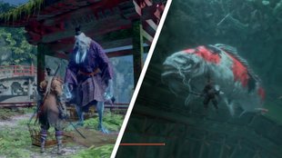 Sekiro: Großen Karpfen töten - Harunaga oder Koremori helfen? (Quest-Walkthrough)