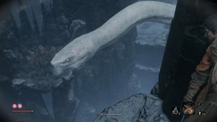 Sekiro: Riesenschlange töten - das müsst ihr machen