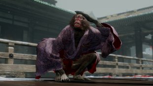 Sekiro: Wandschirm-Affen im Boss-Guide mit Video