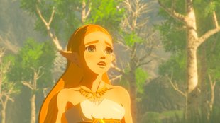 Zelda - Breath of the Wild 2 existiert, weil Nintendo zu viele DLC-Ideen hatte