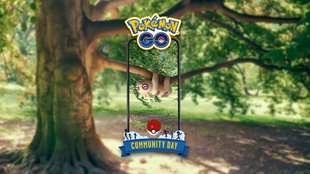 Pokémon GO: Community Day mit Bummelz ist etwas für Faule