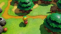Link's Awakening & Cadence of Hyrule: Neue Zelda-Spiele erscheinen schon bald