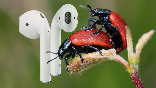 Apple AirPods beim Liebesspiel: Verblüffender Fakt zum Akt