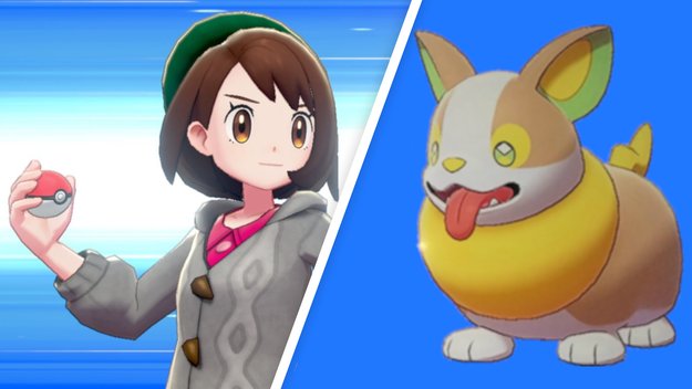 Das Internet liebt das neue Corgi-Pokémon Yamper