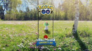 Pokémon GO: Fangt Trasla am nächsten Community Day