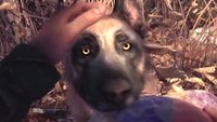 Im Wald-Schocker Blair Witch kannst du a) Hund streicheln und b) völlig verrückt werden