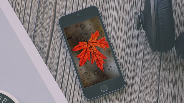 Tod dem iPhone-Herbst: Apple sollte bei Handys endlich wieder unberechenbarer werden