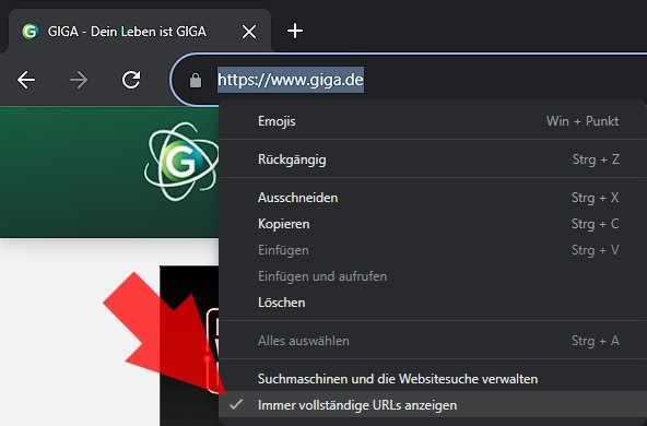 Chrome Browser komplette URL anzeigen PC