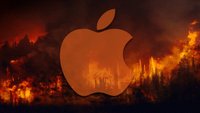 Tim Cook rettet den Regenwald: Apple gibt das, wovon es am meisten hat