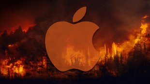 Tim Cook rettet den Regenwald: Apple gibt das, wovon es am meisten hat