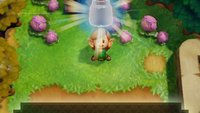 Zelda - Link's Awakening: Flaschen finden und Feen fangen