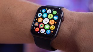 watchOS 9 Beta auf Apple Watch installieren
