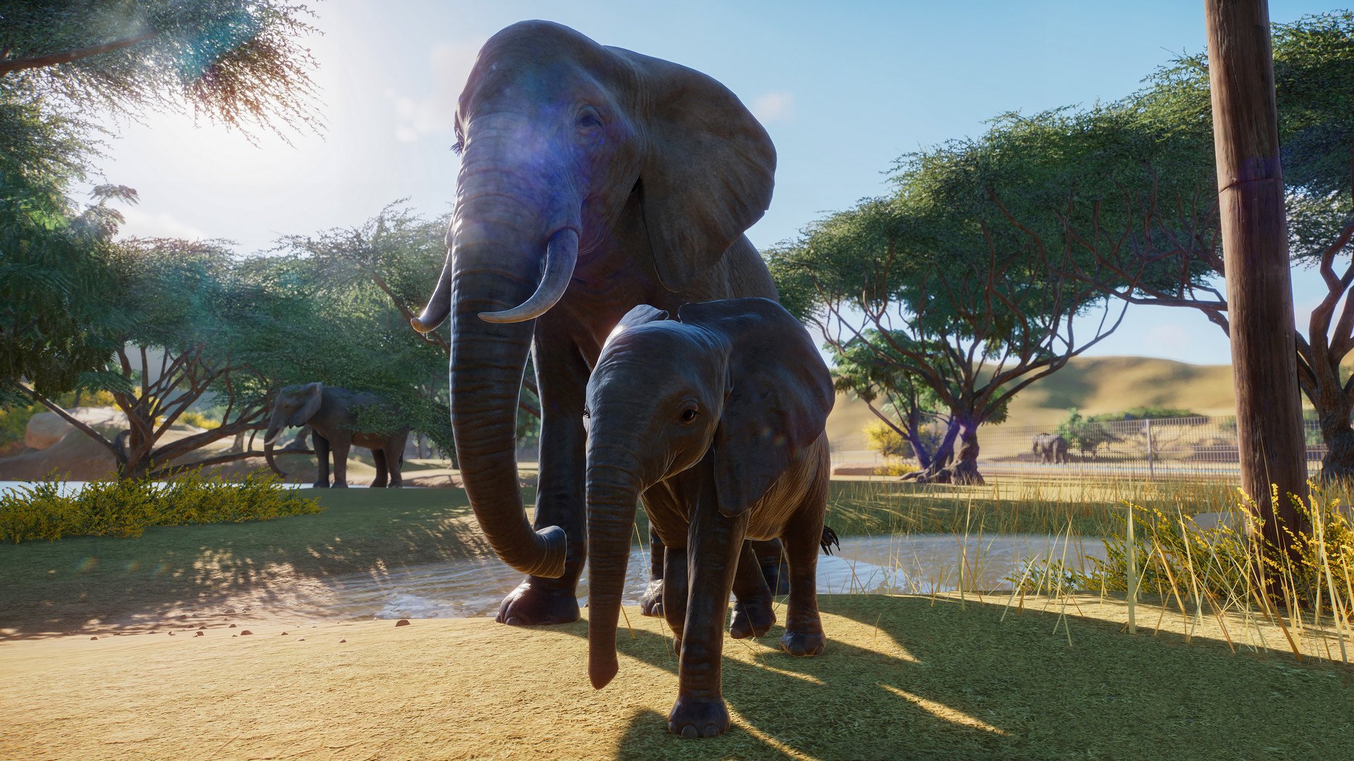 Planet Zoo: Macht dieses Spiel die Welt ein bisschen besser?