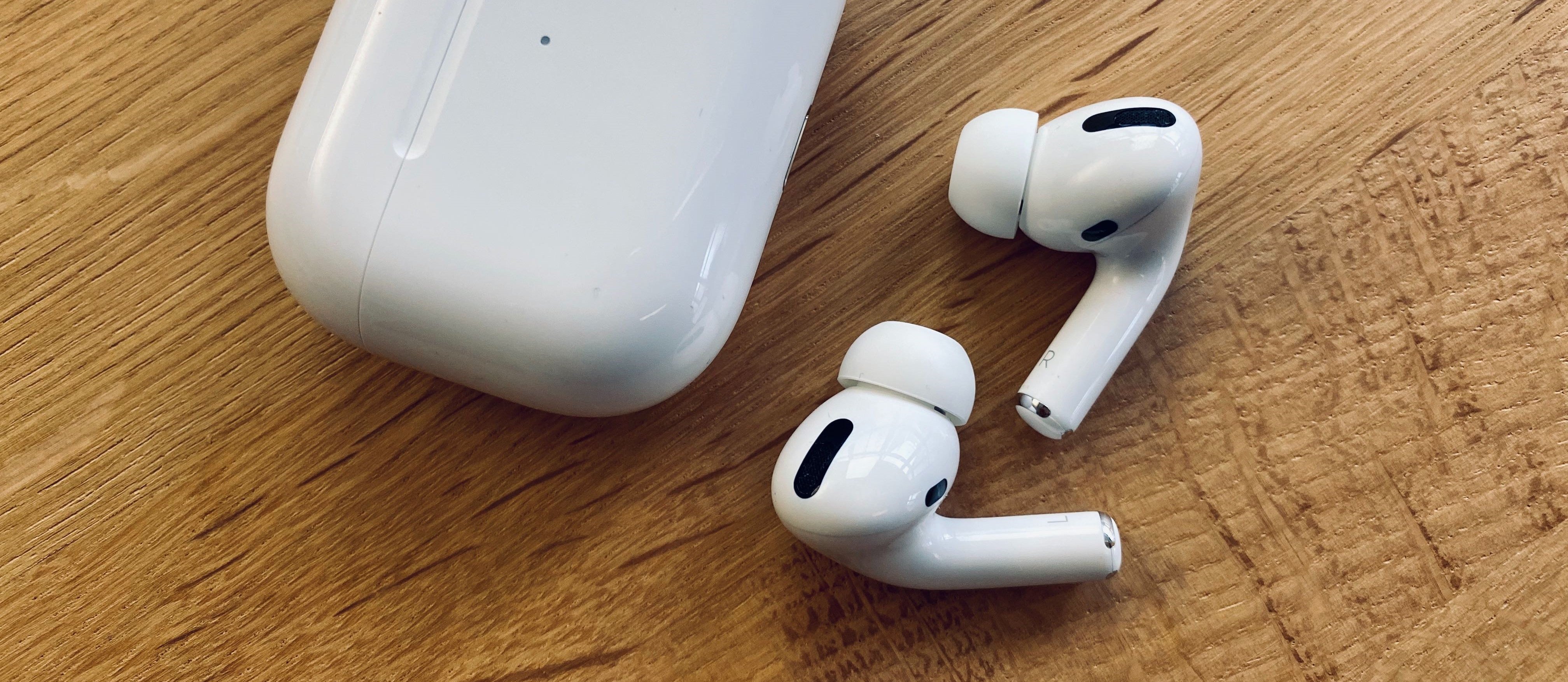 apple airpods pro max case