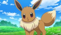 Pokémon Schwert & Schild: Evoli entwickeln - Alle Voraussetzungen