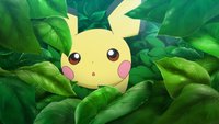 Pokémon: Endlich wissen wir, wie Pikachu gelebt hat, bevor es zu Ash kam