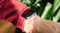 Apple Watch vibriert nicht mehr: Was tun?