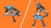 Pokémon Schwert & Schild: Riolu fangen und zu Lucario entwickeln