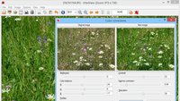 IrfanView Download: Freeware-Bildbetrachter mit vielen Zusatzfeatures