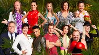 Rtl Dschungelcamp Live Stream Rtl Dschungelcamp Live Stream