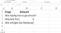 Excel: Text abschneiden und den Textüberlauf verhindern