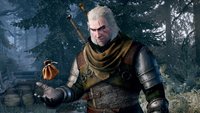 The Witcher 3: Schatzsuchen – alle 29 Fundorte