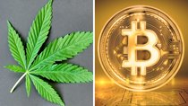 Durch dummen Zufall: Drogendealer verliert Bitcoin-Millionen