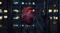 Sonys PS4-Werbespot zum Valentinstag ist unheimlich schräg