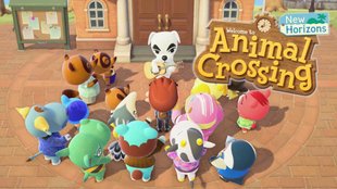 Animal Crossing - New Horizons: Insel-Image für K.K. verbessern - so geht's