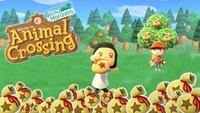 Animal Crossing - New Horizons: Sternis verdienen mit diesen Tricks
