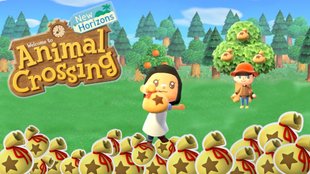 Animal Crossing - New Horizons: Sternis verdienen mit diesen Tricks