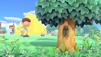 Animal Crossing - New Horizons: 8 Dinge, die ihr täglich machen solltet