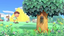 Animal Crossing - New Horizons: 8 Dinge, die ihr täglich machen solltet