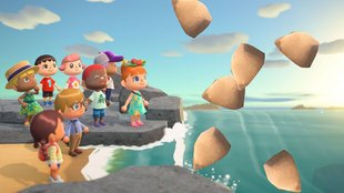 Animal Crossing - New Horizons: 30 Eisenerze für Laden schnell farmen