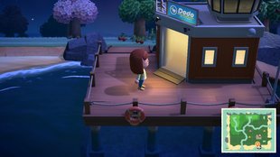 Animal Crossing - New Horizons: Dodo-Codes nutzen und Freunde besuchen
