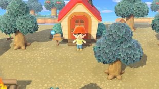 Animal Crossing - New Horizons: Haus und Gebäude verschieben