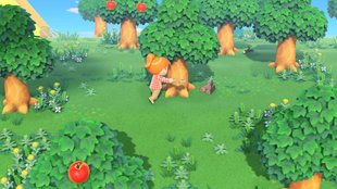 Animal Crossing - New Horizons: Bäume ausgraben und fällen