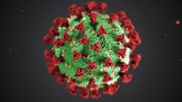 Coronavirus: Fake-News bei WhatsApp verunsichern Empfänger