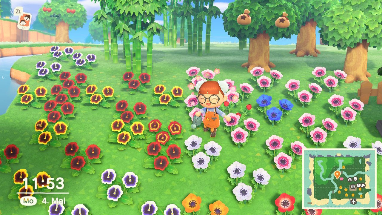 Animal Crossing New Horizons Blumen kreuzen und züchten