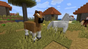 Minecraft: Spieler verließ Server und ließ sein Pferd mit super süßer Nachricht zurück