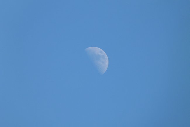 Mondaufnahme bei Tag Bild: Robert Schanze (GIGA)