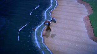 Animal Crossing - New Horizons: Vogelspinnen-Insel besuchen, so geht's