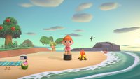 Animal Crossing - New Horizons: Rüben bekommen und zu hohen Preisen verkaufen