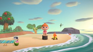Animal Crossing - New Horizons: Rüben bekommen und zu hohen Preisen verkaufen