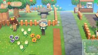 Animal Crossing: New Horizons - Spieler bietet faulen Gärtnern seinen Dienst an