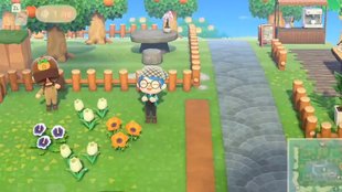Animal Crossing: New Horizons - Spieler bietet faulen Gärtnern seinen Dienst an