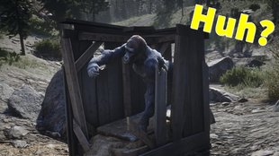 Red Dead Redemption 2: Mysteriöser Gorilla – Spieler rätseln und machen ... Selfies